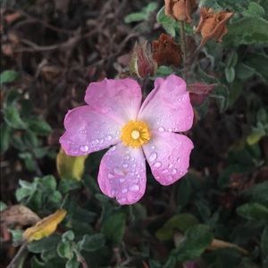 Meet your Posher, Martha